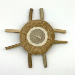 Disque corde Rosconnec